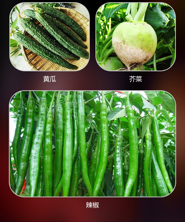 大缸酱菜详情_07.jpg